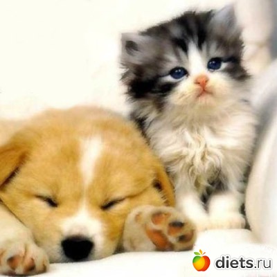 ������� �������