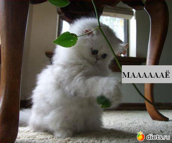 20 ����: �������� ��� 20