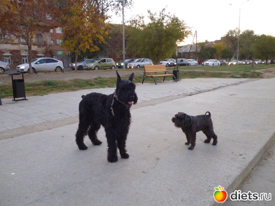 5 фото: Мои мальчишки