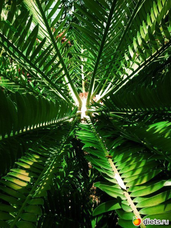 57 ����: ����� 1