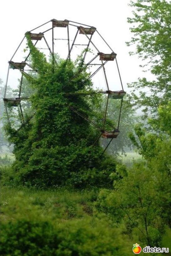 58 ����: ����� 1