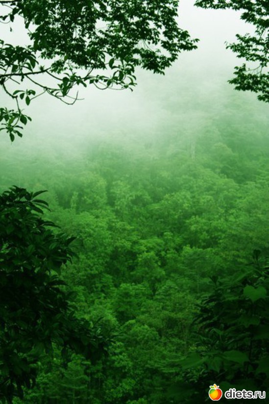 59 ����: ����� 1