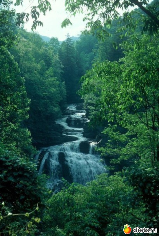 60 ����: ����� 1