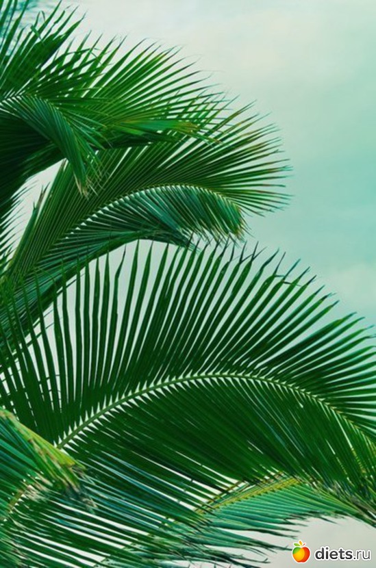 61 ����: ����� 1