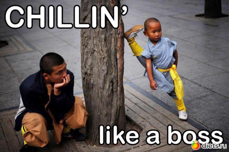 33 ����: ���������