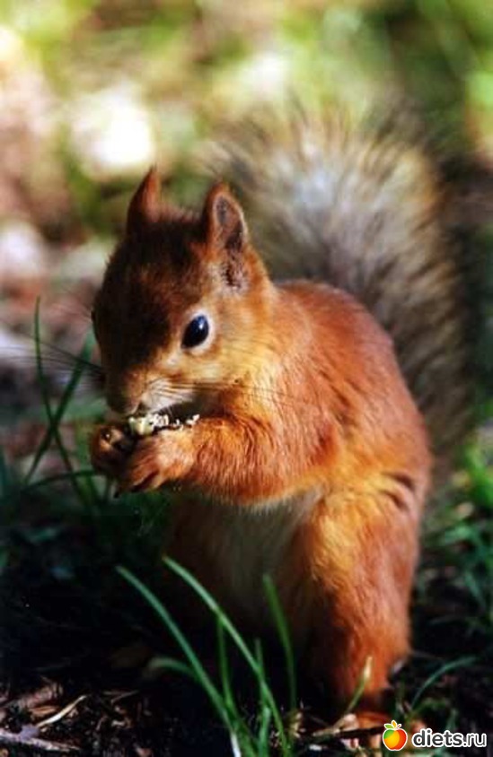 63 ����: ����� 1