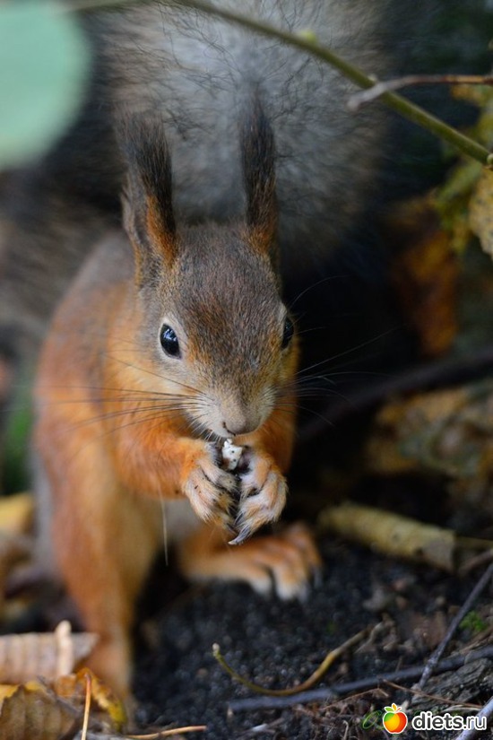 64 ����: ����� 1