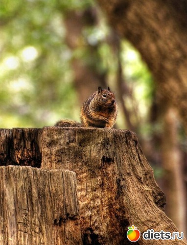 65 ����: ����� 1