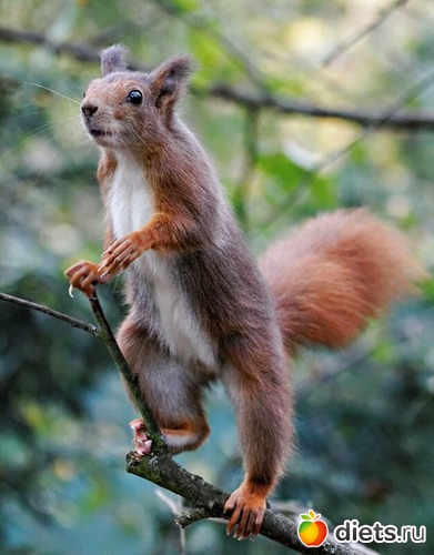 67 ����: ����� 1