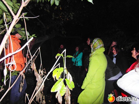 Киев мистический., альбом: Знакомый уютный Киев. Парки