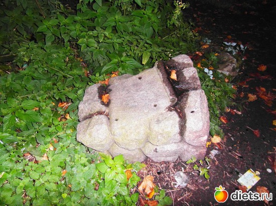 Киев мистический., альбом: Знакомый уютный Киев. Парки