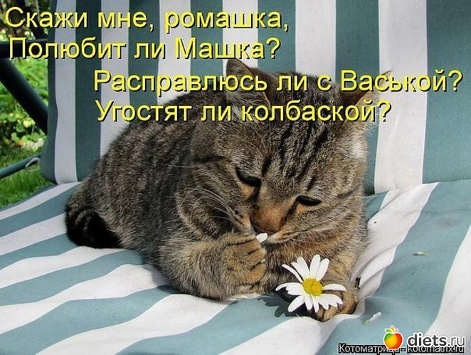 1 ����: ����������� 2