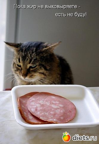 ����������� 2