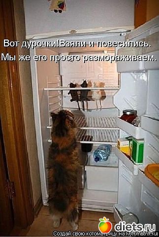 ����������� 2