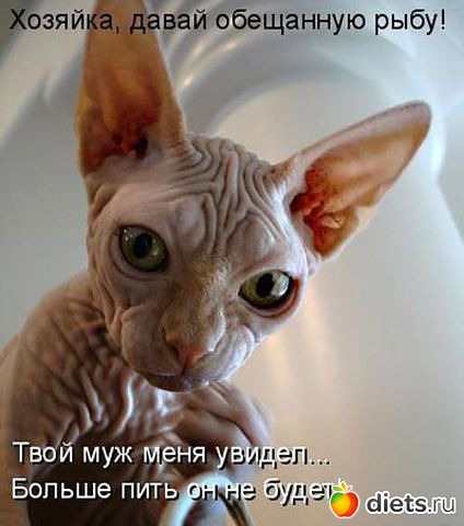 ����������� 2