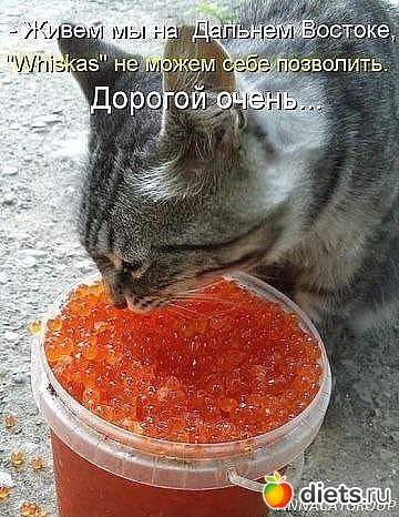 ����������� 2