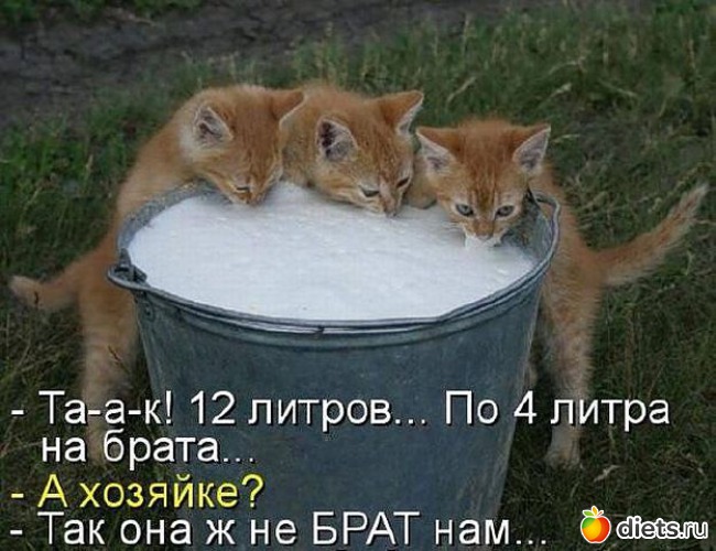 11 ����: ����������� 2