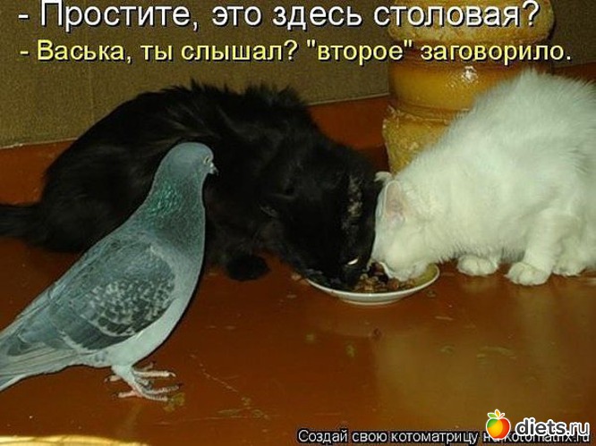 12 ����: ����������� 2