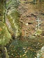 �������� ��� ����������