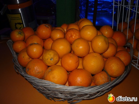 5 ����: ������.��� 2012 ���.