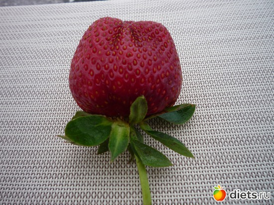 8 ����: ������.��� 2012 ���.