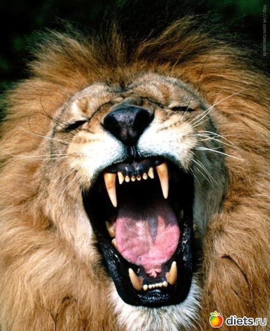 70 ����: ����� 1