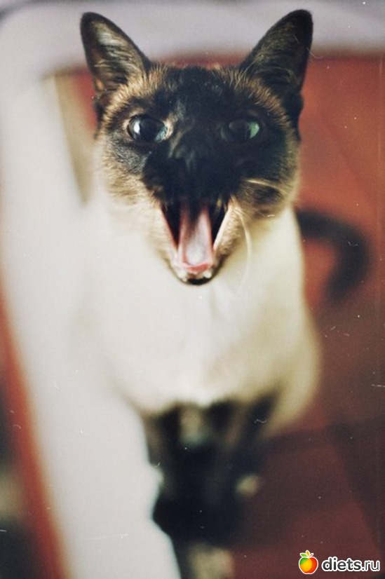 71 ����: ����� 1