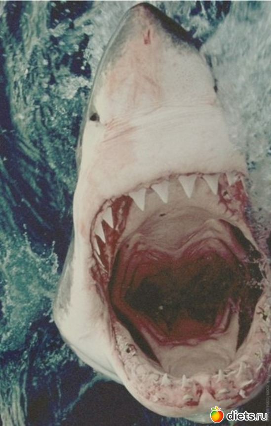 72 ����: ����� 1