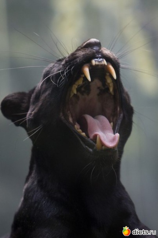 73 ����: ����� 1