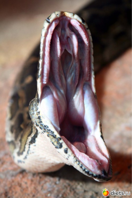 74 ����: ����� 1