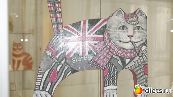 15 ����: ���� � ������ + ������� ���