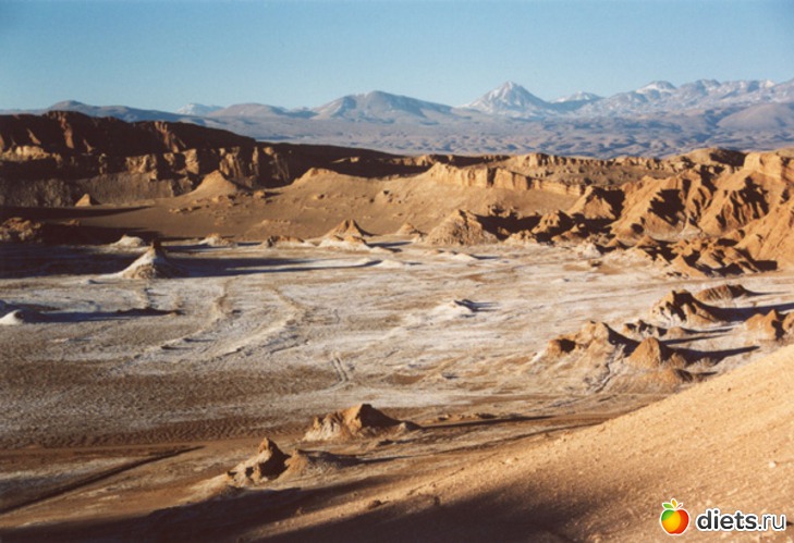 5 ����: ����