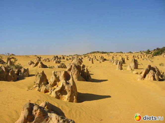 6 ����: ����