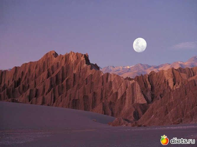 7 ����: ����