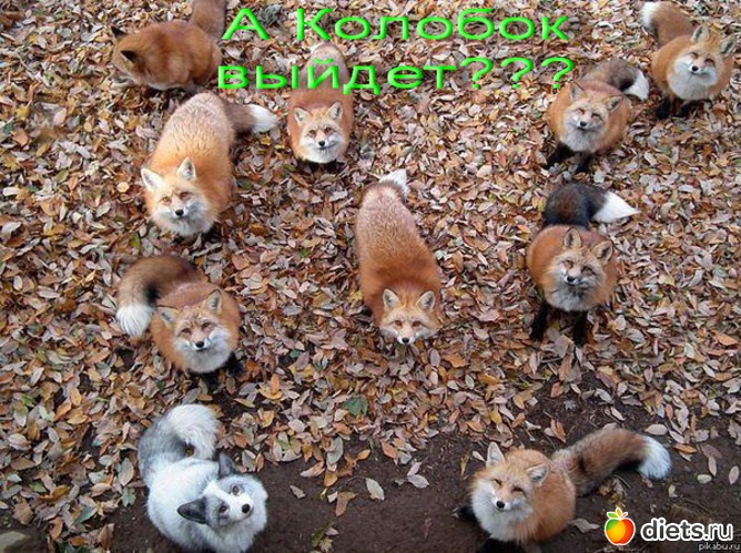 2 ����: ��