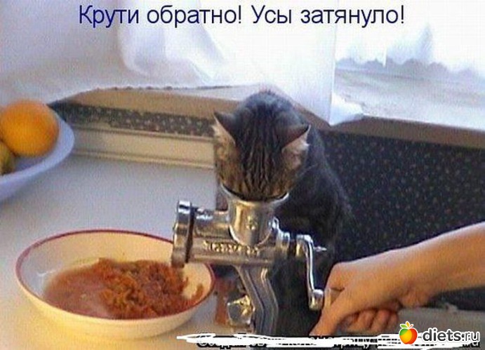 4 ����: ��