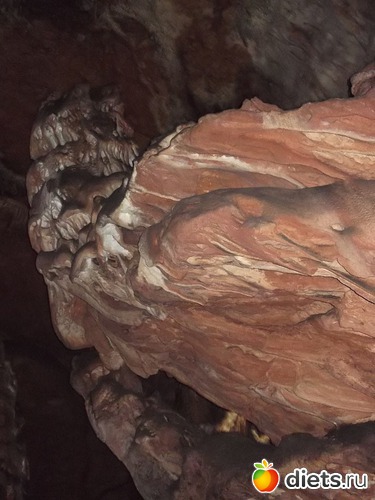 5 ����: ��������� ������