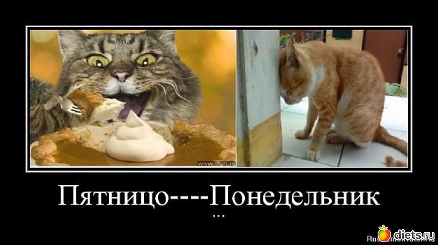 14 ����: ��