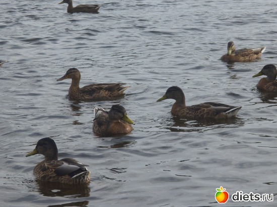 3 фото: мой альбом