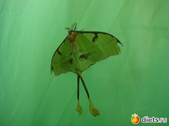 3 ����: �������� �������