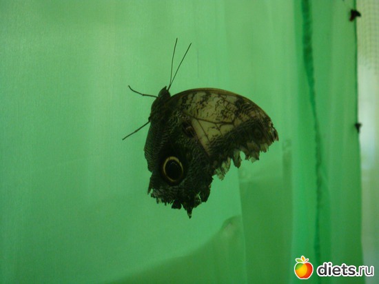 4 ����: �������� �������