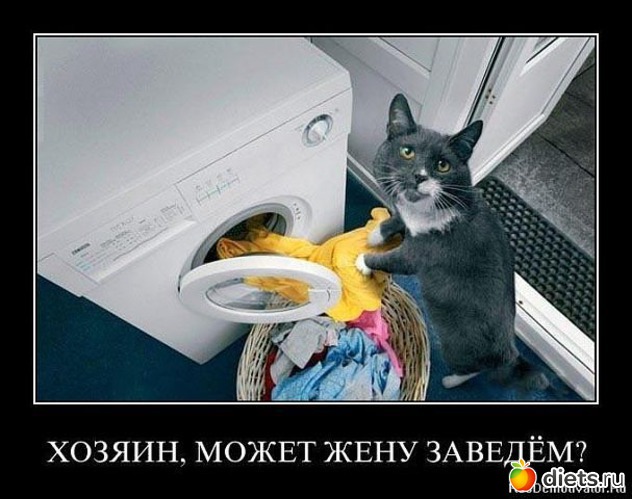 19 ����: ��