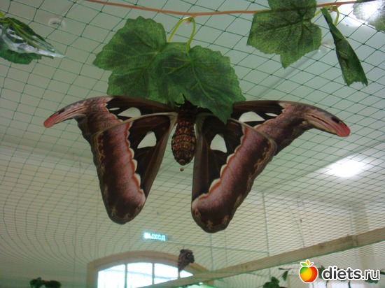 8 ����: �������� �������