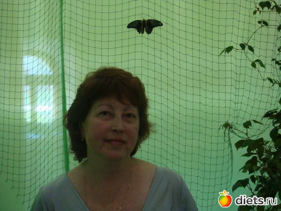 ��� �, ������: �������� �������