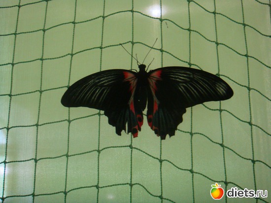 11 ����: �������� �������