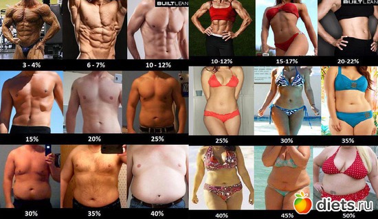 38 ����: ���������