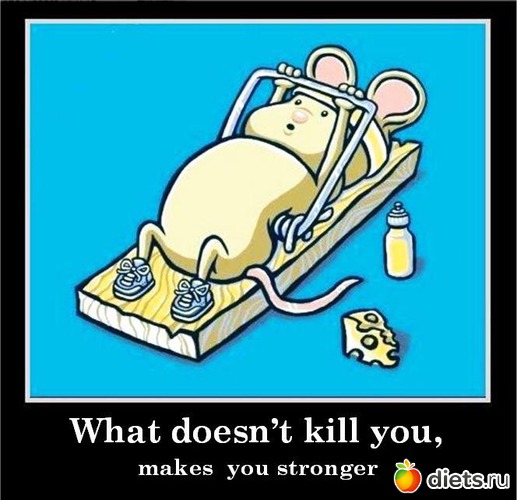 41 ����: ���������