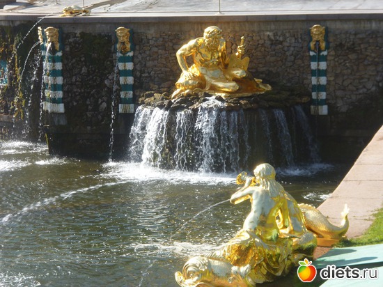 6 ����: ��� ������