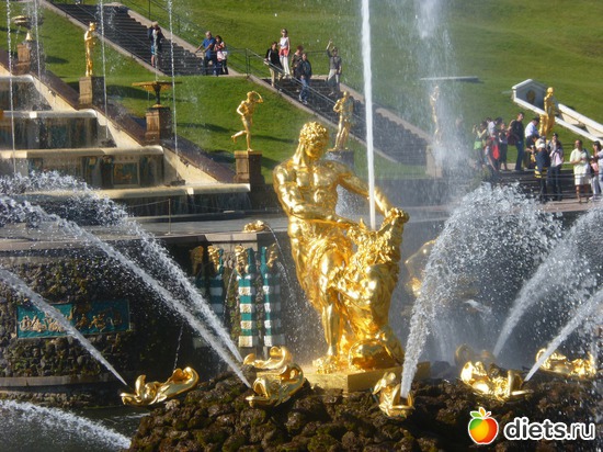 7 ����: ��� ������