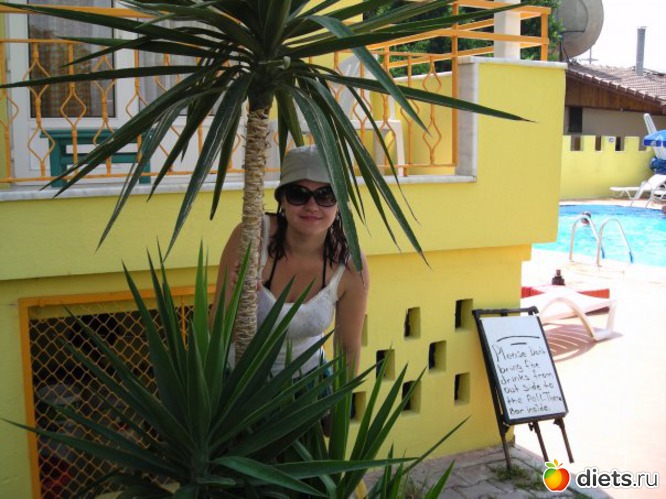 11 ����: �